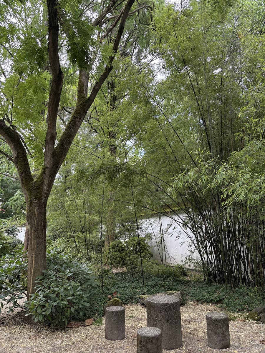 A quiet green space for reflection and calm