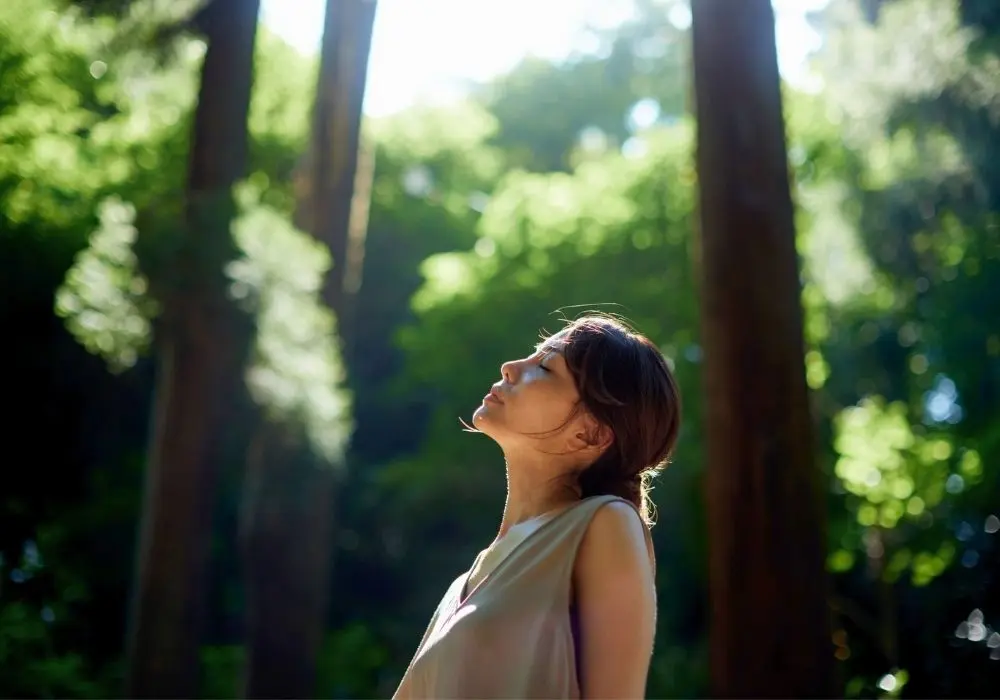 Adult ADHD therapy in English and Mandarin in Vancouver